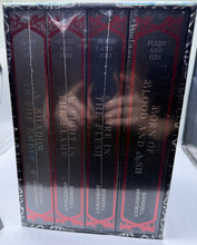 Load image into Gallery viewer, Books for days crate complete box set of the flesh and fire series by Jenn armontrout