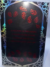 Load image into Gallery viewer, Books for days crate complete box set of the flesh and fire series by Jenn armontrout
